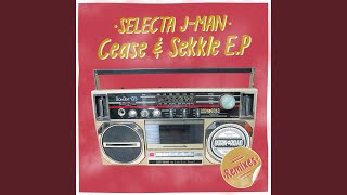 Cease amp Sekkle Lost City Remix [upl. by Gingras73]