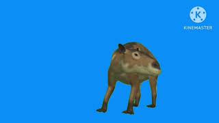 eohippus blue screen [upl. by Glennis]