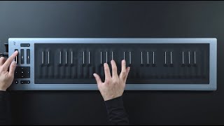 Seaboard RISE 2 Total Control of Sound [upl. by Ophelie771]