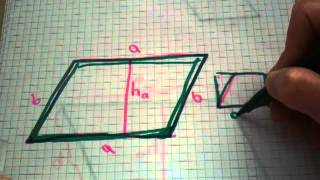 Flächeninhalt eines Parallelogramms berechnen  Mathe verstehen [upl. by Ogg]