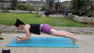 Up Downs  Plank Variation  Core Exercise  Upper Body Strength  Bodyweight Exercise [upl. by Nicoli]