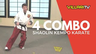 4 Combination in the Shaolin Kempo Karate Style of Martial Arts [upl. by Gibeon]