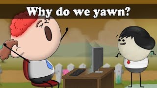 Why do we yawn  aumsum kids science education children [upl. by Dehsar801]