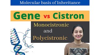 Gene vs Cistron  Molecular Basis of Inheritance  Class 12  NEET [upl. by Reinal]