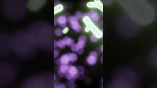 ASMR The birth of Eukaryotes space cosmos science [upl. by Ahseile801]