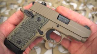 Sig Sauer P238 380ACP Scorpion FDE Semi Auto Pistol Overview  Texas Gun Blog [upl. by Stearn21]