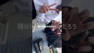 久しぶりのいちご狩り～～🍓 おすすめ いちご狩り OLの休日 休みの日Vlog 新卒ol [upl. by Copeland]