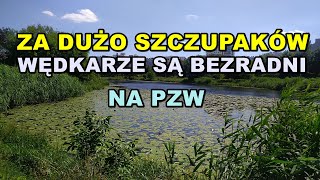 NAJLEPSZE LOWISKO SZCZUPAKOWE W WARSZAWIE i NA MAZOWSZU [upl. by Johan]