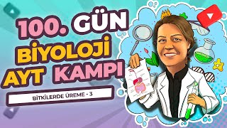 AYT KAMPI  12 SINIF  100 GÜN  BİTKİLERDE ÜREME 3 [upl. by Thorny]