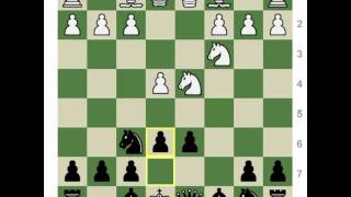 Chess Openings How to Play the Sheveningen amp Classical Sicilians [upl. by Nell]