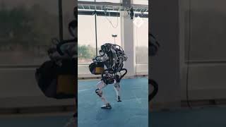 New Boston Dynamic robots show off their athletic skills [upl. by Namreh]