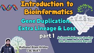 Gene Duplication Extra lineage and Loss  part 1  Introduction to bioinformatics  Bangla [upl. by Myrvyn148]