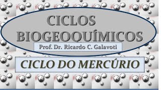 Ciclos Biogeoquímicos Ciclo do Mercúrio e a Doença de Minamata [upl. by Nitin]