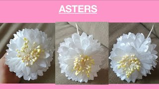 How to make “ ASTERS” [upl. by Needan]