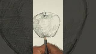 pencil shading Drawing  Apple l Naveen B Pattar [upl. by Ressay163]