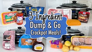 6 Cheap amp EASY Dump and Go Crockpot Meals  TASTY 3Ingredient Slow Cooker Recipes  Julia Pacheco [upl. by Amliw]