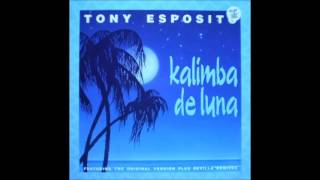 Tony Esposito Kalimba de Luna The Italian Tamborder Club Mix [upl. by Baumann]