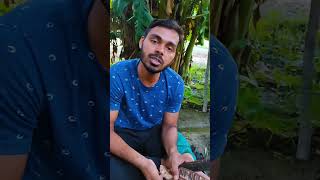 गुलमोहर के बीज  Gulmohar  Gulmohar seeds [upl. by Casilda]