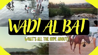 SPEND WEEKEND AT WADI AL BAT  DUCKS WADI MUSCAT OMAN  WADI AL BAT PARK [upl. by Anitsugua780]