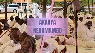 The African Apostolic Church Chorus  Tenzi Jeso Akauya Nehumambo [upl. by Ekusoyr592]