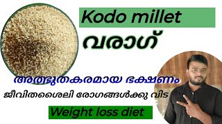 Kodo milletവരാഗ്അത്ഭുതകരമായ ഭക്ഷണം ജീവിത ശൈലി രോഗങ്ങളോട് വിടപറയുlove to live [upl. by Ymmat]