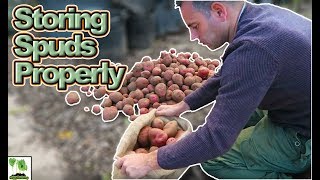 Storing Potatoes Long Term  Save Your Potato Harvest [upl. by Nolan685]