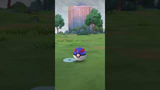 Pokémon GO  Excellent Throw of the Day  Poochyena pokemongo excellentthrow [upl. by Malonis268]