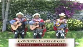 Conjunto Lazos de oro  Toro baile [upl. by Haven]