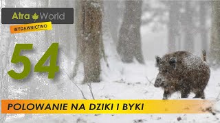 Polowanie na dziki i jelenie [upl. by Fenwick]