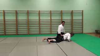 Hanmi Handachi Waza Katate Dori Ikkyo [upl. by Nyrrek]