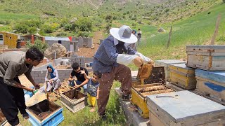 Beekeeping Adventures Transferring Queen Bees amp Building Milads House [upl. by Neelac]