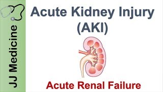 Acute Kidney Injury AKI  Acute Renal Failure  Diagnosis Causes and Treatment [upl. by Notnats87]