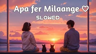 Apa fer Milaange ♡  Slowed amp Reverb  Lofi Sky [upl. by Atterol]