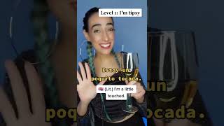 HOW TO SAY quotIM DRUNKquot IN RIOPLATENSE SPANISH [upl. by Anabal]