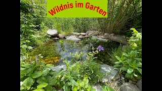 Wildnis im Garten Artenvielfalt und Biodiversität [upl. by Airres]