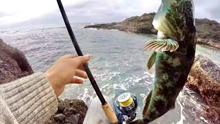 Lingcod Fishing From CLIFFS On The Oregon Coast CATCH amp COOK Lingcod [upl. by Artinak]