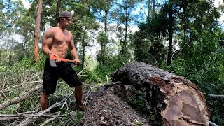 Firewood Chopping on the Property [upl. by Nikolaus33]