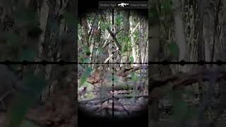 Airsoft Gameplay  Hits 44 airsoft gameplay fun sports combat [upl. by Lanita710]