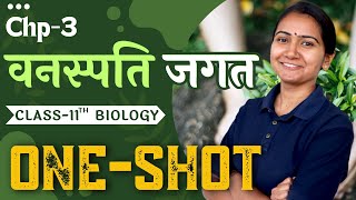 Chapter3 वनस्पति जगत OneShot  Plant Kingdom OneShot  11th Biology OneShot [upl. by Sgninnej]