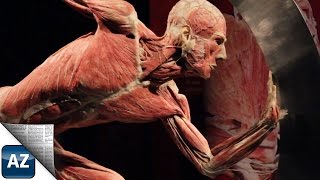 Zu Besuch im Plastinarium in Guben [upl. by Aurlie]