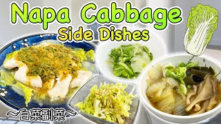 4 easy side dishes with Napa Cabbage 〜白菜副菜四種〜  easy Japanese home cooking recipe [upl. by Tayib]