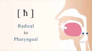 ħ  unvoiced radical pharyngeal non sibilant fricative [upl. by Dalury964]