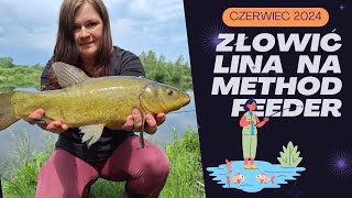 Liny na Method Feeder w czerwcu 2024 [upl. by Finkelstein192]