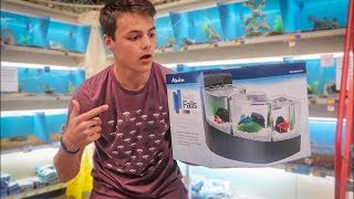 CRAZY TRIPLE OVERFLOW BETTA TANK SET UP BIG NEWS [upl. by Ezirtaeb779]