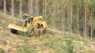 Skidder 6x6 Tigercat 615C madereando en pendiente [upl. by Acalia]