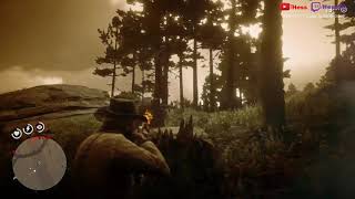 Red Dead 2 Weapons Expert 6 4 Kills with 1 dynamite stick  super easy way [upl. by Lhamaj]