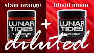 Lunar Tides BLOODMOON  SIAM ORANGE  DILUTER [upl. by Vijar]