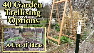 40 Garden Trellising Examples for Growing Vegetables Vertically All DIY Budget Friendly Options [upl. by Agnese]