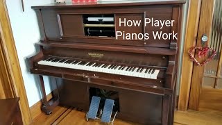 How Does A Player Piano Work  A Basic Explanation [upl. by Suirauqram64]