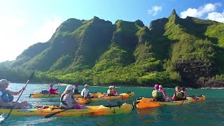 Hawaii vacation guide  WestJet Vacations [upl. by Atte830]